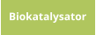 Biokatalysator
