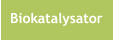Biokatalysator